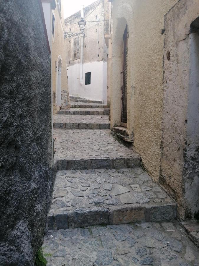 B&B Nonna Ida Scalea Zewnętrze zdjęcie